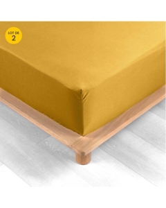 Lot de 2 Drap housse percale de coton 78fils ultra doux 160 x 200 cm Curry