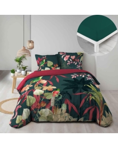 Pack parure couette 260 x 240 cm 100% coton Fauvette + drap housse 160 x 200 cm Pétrole