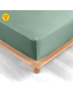 Lot de 2 Drap housse percale de coton 78fils ultra doux 160 x 200 cm Tilleul