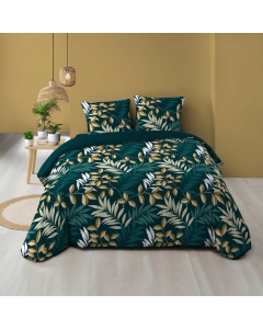 Housse de couette 260 x 240 cm coton 57 fils + 2 taies Nelida