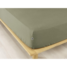 Kaki