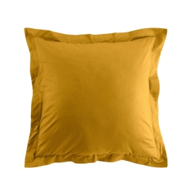 Ocre