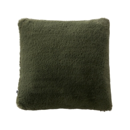 Kaki