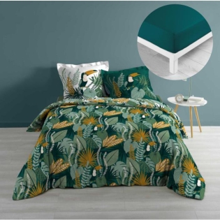 Pack housse de couette 220x240 cm Brazilia + drap housse 140x190 Pétrole