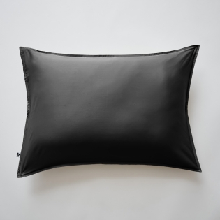 Taie d'oreiller 50 x 70 cm bambou salomé truffe Noir