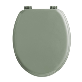 Abatt. wc charnieres plastique 18 pouces mdf uni vitamine sdb Sauge