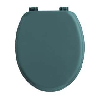 Abatt. wc charnieres plastique 18 pouces mdf uni vitamine sdb Bleu/emeraude