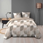 Pack Housse de couette 240 x 220 cm en Flanelle Ambroise + DH 140x190 Beige