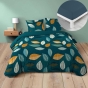 Pack housse de couette 240 x 220 cm Olympie + DH 140 x 190 cm Bleu