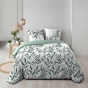 Housse de couette 240 x 220 cm coton 57 fils + 2 taies Eldorado