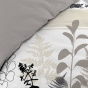 Housse de couette 260 x 240 cm coton 57 fils + 2 taies Cyliane