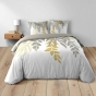 Housse de couette 240 x 220 cm coton 42 fils + 2 taies Orlana