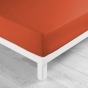 Pack drap housse 160x200 cm + 2 taies 63x63 coton 57 fils Paprika
