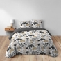 Parure 3 p. 240 x 220 cm polycoton  52 fils Scarlett Gris