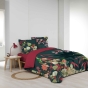 Pack parure couette 260 x 240 cm 100% coton Fauvette + drap housse 160 x 200 cm Pétrole