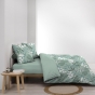 Parure 3 p. 240 x 220 cm polycoton 52 fils Kimberly Sauge