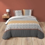 Parure de couette 240 x 220 cm coton 42 fils + 2 taies Arsene