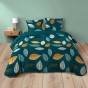 Pack housse de couette 240 x 220 cm Olympie + DH 140 x 190 cm Curry