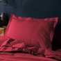 Taie d'oreiller 50 x 70 cm uni 57 fils lina  +point bourdon Marsala