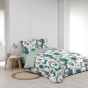 Housse de couette 240 x 220 cm polycoton  52 fils + 2 taies Geomelo Sauge
