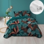 Pack parure de couette 220 x 240 cm Meryl + drap housse (140) Blanc