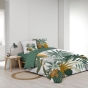 Escapade Tropicale - Housse de Couette 260 x 240 cm  Florida en Coton 42 Fils