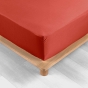 Pack drap housse king size 180 x 200 cm + 2 taies en percale 78 fils Tomette