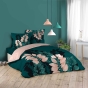 Pack parure de couette 240 x 220 cm Belline + drap housse 140 x 190 x 30 Pétrole
