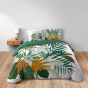 Housse de couette 260 x 240 cm coton 42 fils + 2 taies Florida