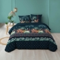 Housse de couette 240 x 220 cm coton 57 fils + 2 taies Floriana