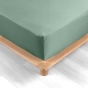 Pack complet housse de couette percale 78 fils pour lit 140 x 190 cm Tilleul