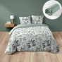 Pack Parure de couette VOLTINE 240 x 220 cm – Coton 42 fils – + Drap Housse 140x190 cm Sauge