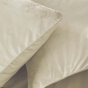 Housse de Couette 240 x 220 cm – Velours Uni – Velina Naturel + 2 Taies