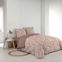 Housse de couette 260 x 240 cm coton 57 fils MORGANE Mocha + 2 taies