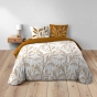 Housse de couette 2 personnes 260 x 240 cm coton 42 fils MALIKA + 2 taies