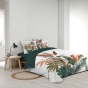 Parure de lit 3 pièces 240 x 220 cm 100% coton 42 fils ROMY