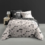 Housse de couette 260 x 240 cm percale de coton 78 fils + 2 taies Iris
