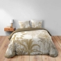 Housse de couette 260 x 240 cm coton 42 fils + 2 taies Cocoty