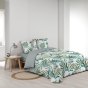 Pack housse de couette 240 X 220 cm microfibre Louna + dh 140 x 190 Sauge