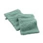 2 gants de toilette 15 x 21 cm eponge unie elegance Celadon