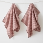 Lot de 2 essuie-mains 50 x 70 cm - Double gaze de coton - VICKIE - Vichy tissé teint - Terracotta