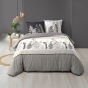 Housse de couette 260 x 240 cm coton 57 fils + 2 taies Cyliane