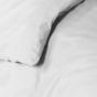 Housse de couette 2 personnes 240 x 220 cm uni 57 fils lina Blanc