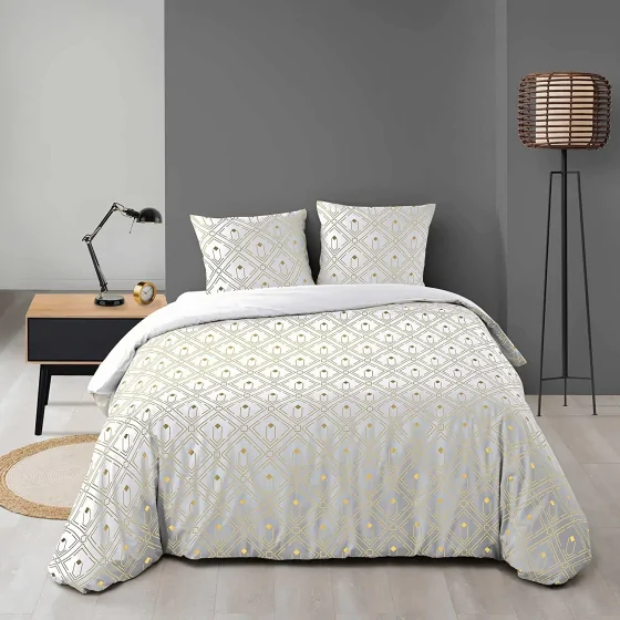 Housse de couette 220 x 240 cm + 2 taies 100% microfibre Izac
