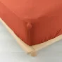 Drap housse 2 personnes 140x190 cm dble gaze coton 57 fils Angelia Orange