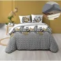 Pack housse de couette 220 x 240 cm Catalia + drap housse 140 x 190 Gris