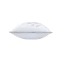 Coussin déhoussable 40 x 60 cm – Coton/Polyester – Imprimé métallisé DUCHESSE