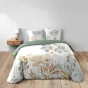  Parure de lit 3 pièces 240 x 220 cm – Coton 42 fils – LOLITA