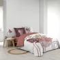 Housse de couette 240 x 220 cm + 2 taies – Coton 42 fils – ASTRIA