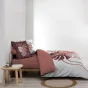 Housse de couette 240 x 220 cm + 2 taies – Coton 42 fils – ASTRIA